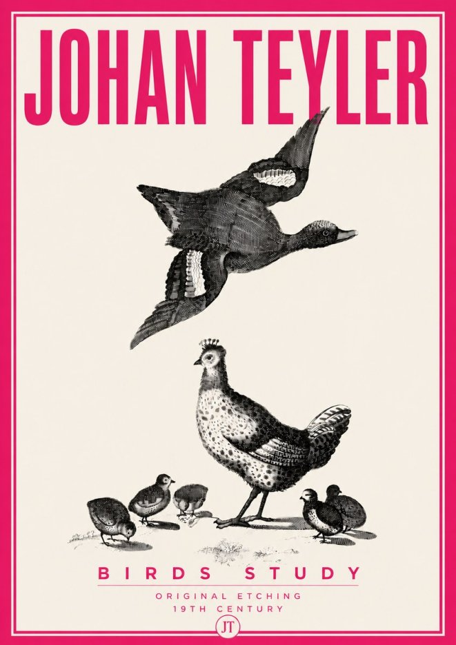 Johan Teyler Birds Study No6 - Plakát
