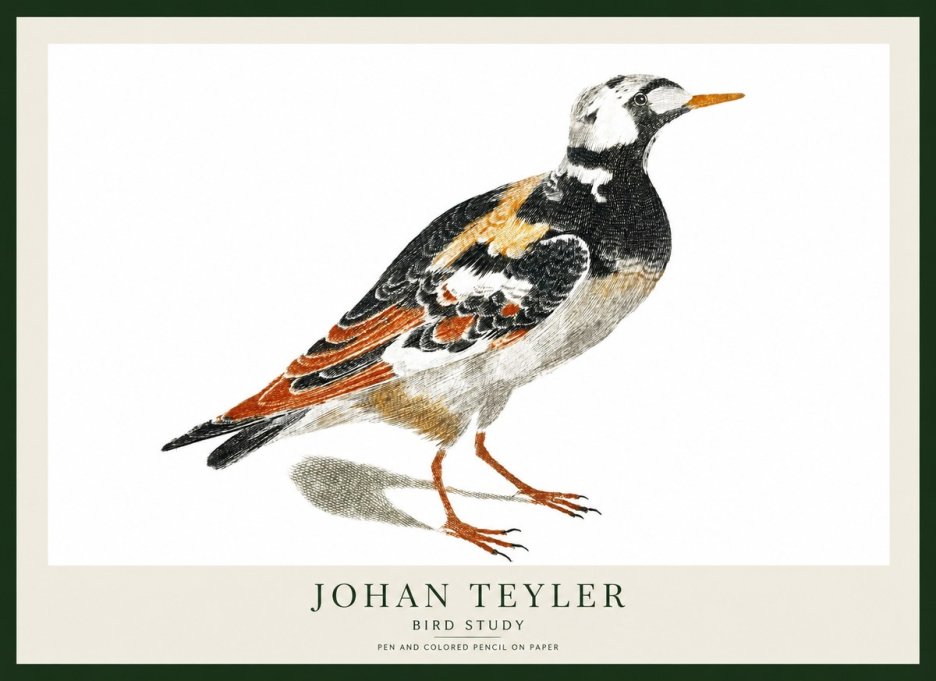 Johan Teyler Bird Study IV No1 - Plakát