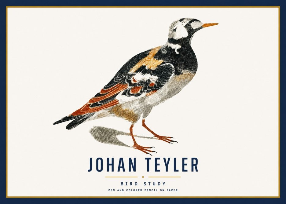 Johan Teyler Bird Study IV No3 - Plakát