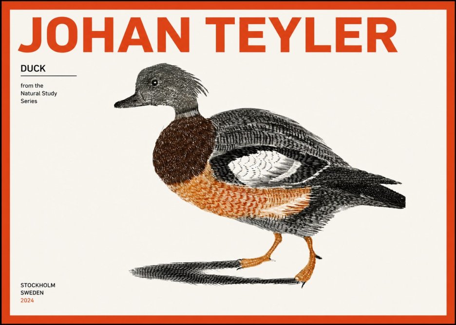 Johan Teyler Duck II No2 - Plakát