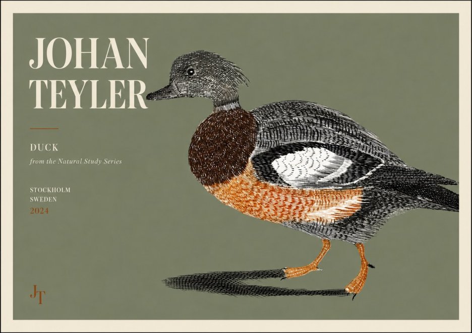 Johan Teyler Duck II No3 - Plakát