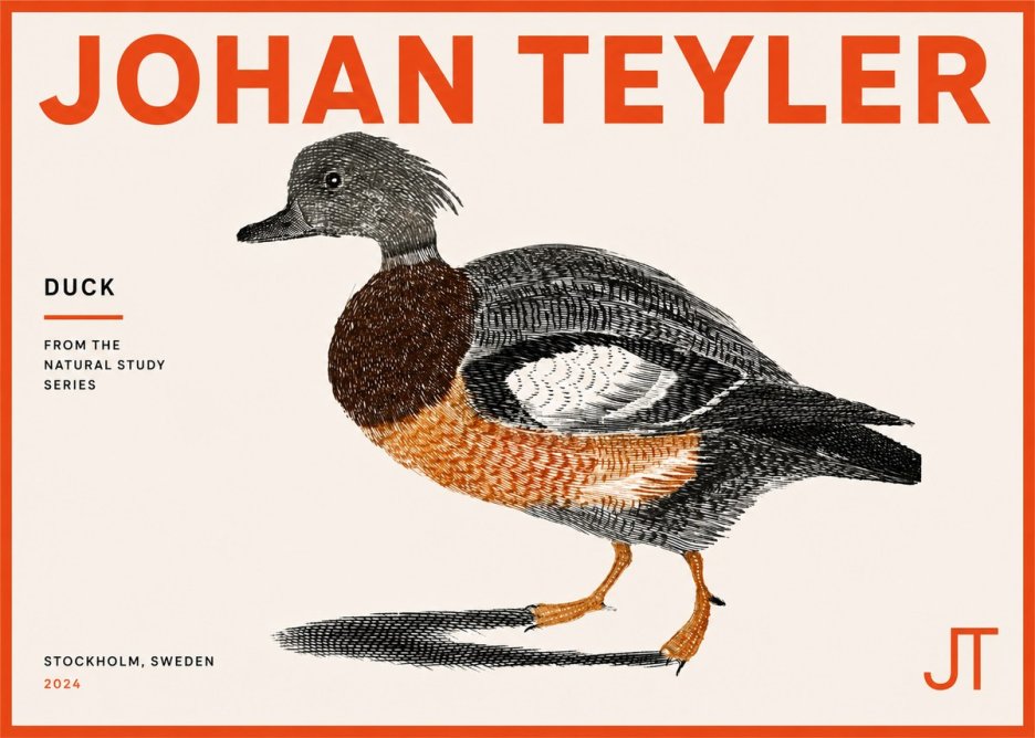 Johan Teyler Duck II No5 - Plakát