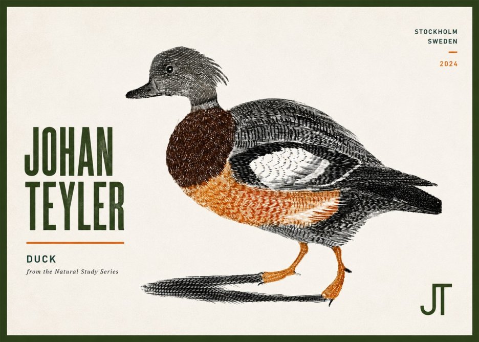Johan Teyler Duck II No6 - Plakát
