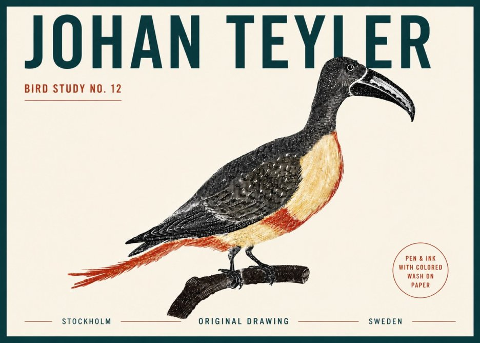 Johan Teyler Bird Study No. 12 - Original Drawing No5 - Plakát