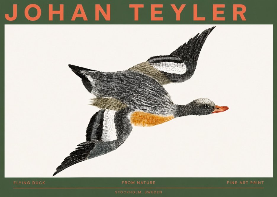 Johan Teyler Flying Duck No2 - Plakát