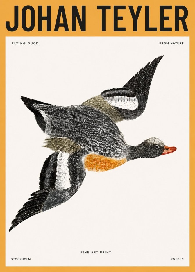 Johan Teyler Flying Duck No3 - Plakát