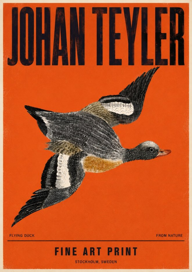 Johan Teyler Flying Duck No4 - Plakát