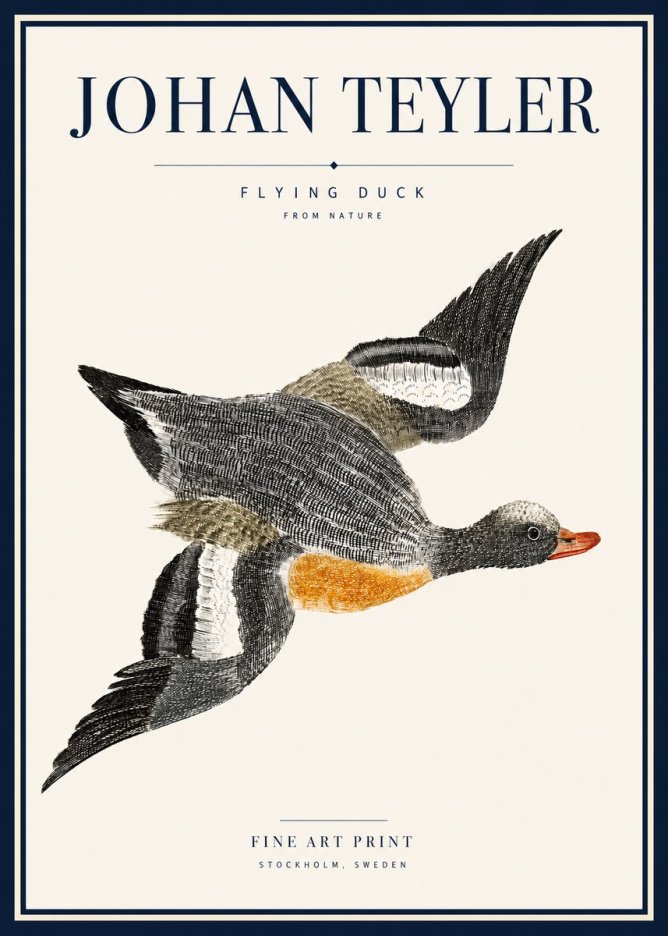 Johan Teyler Flying Duck No5 - Plakát