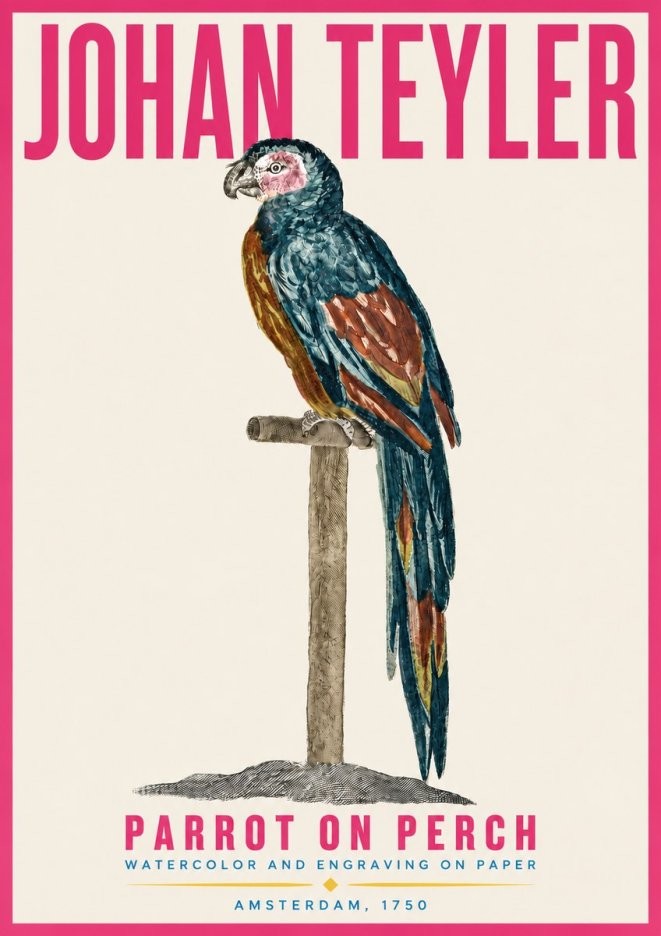 Johan Teyler Parrot on Perch No4 - Plakát
