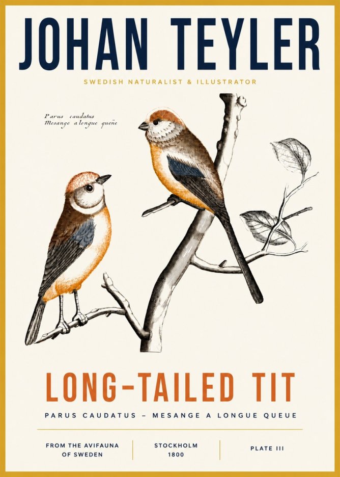 Johan Teyler Long-tailed Tit No3 - Plakát