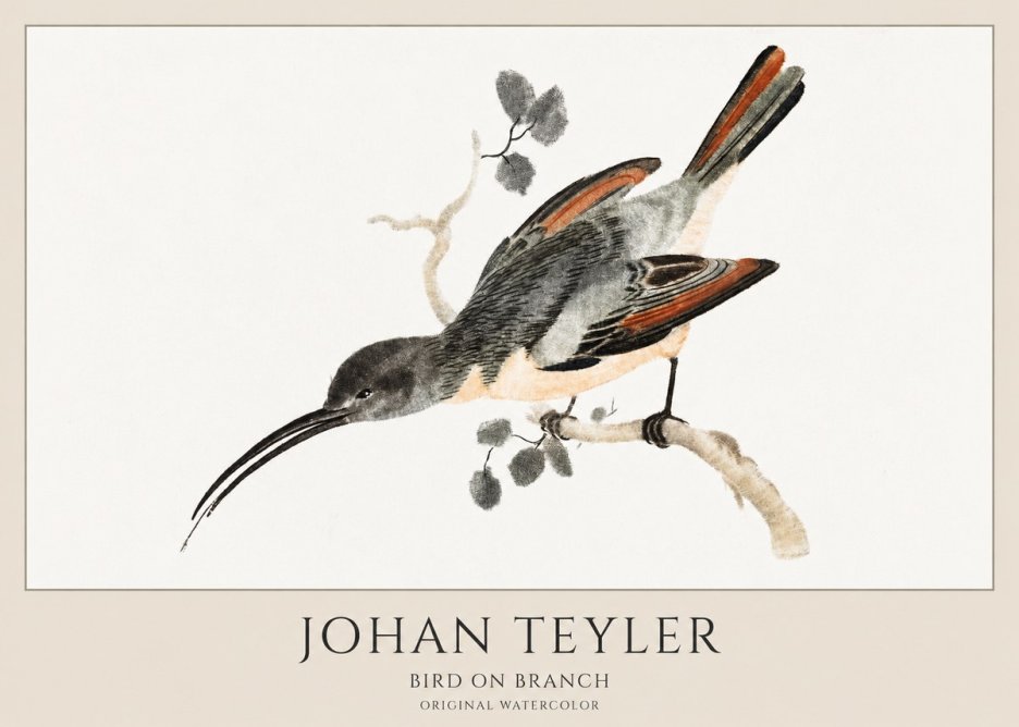 Johan Teyler Bird on Branch II No1 - Plakát