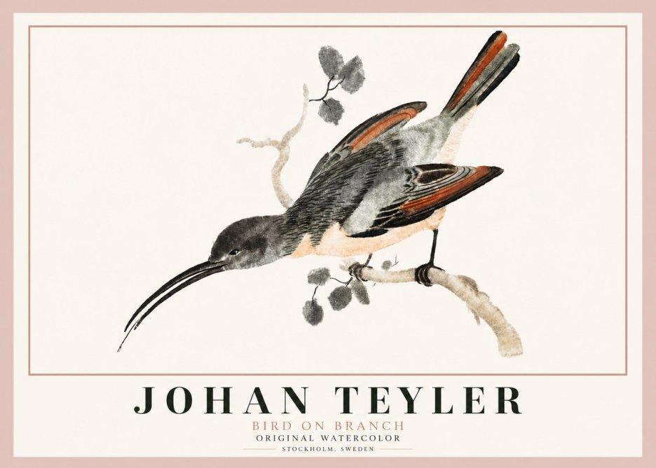 Johan Teyler Bird on Branch II No3 - Plakát