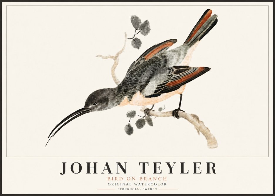 Johan Teyler Bird on Branch II No5 - Plakát