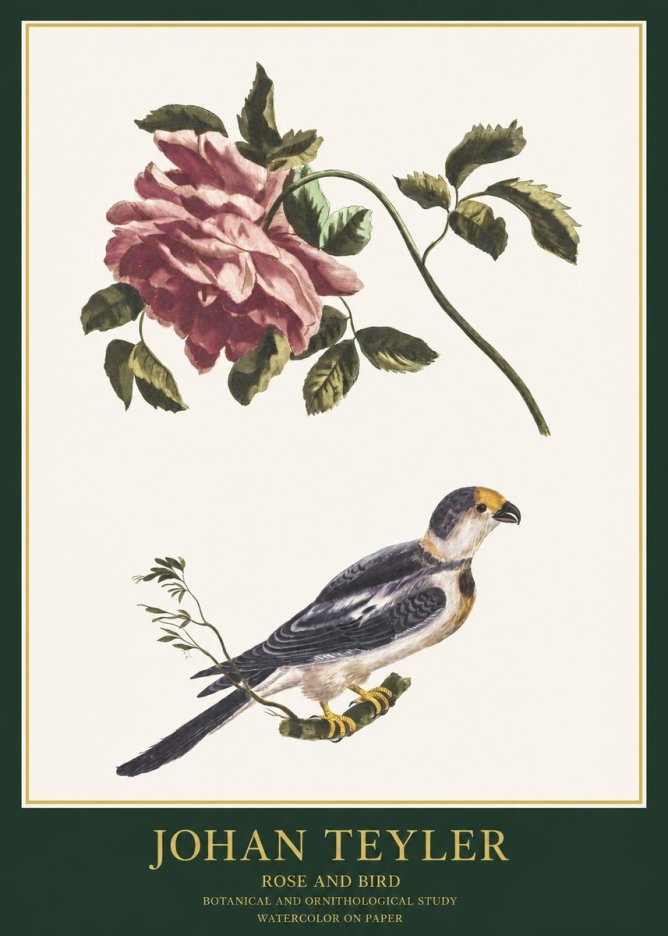 Johan Teyler Rose and Bird I No1 - Plakát