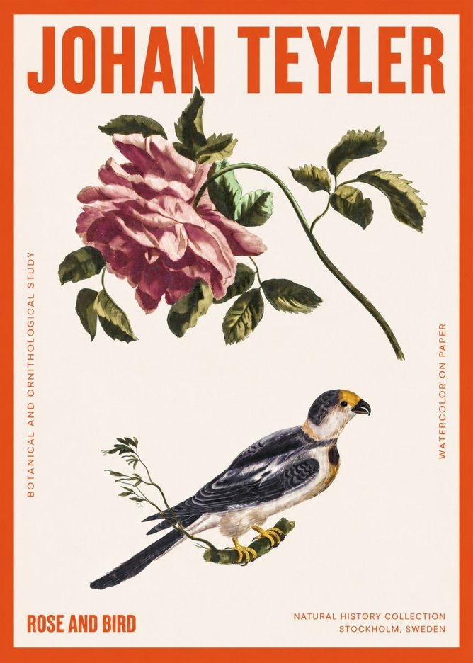 Johan Teyler Rose and Bird I No2 - Plakát