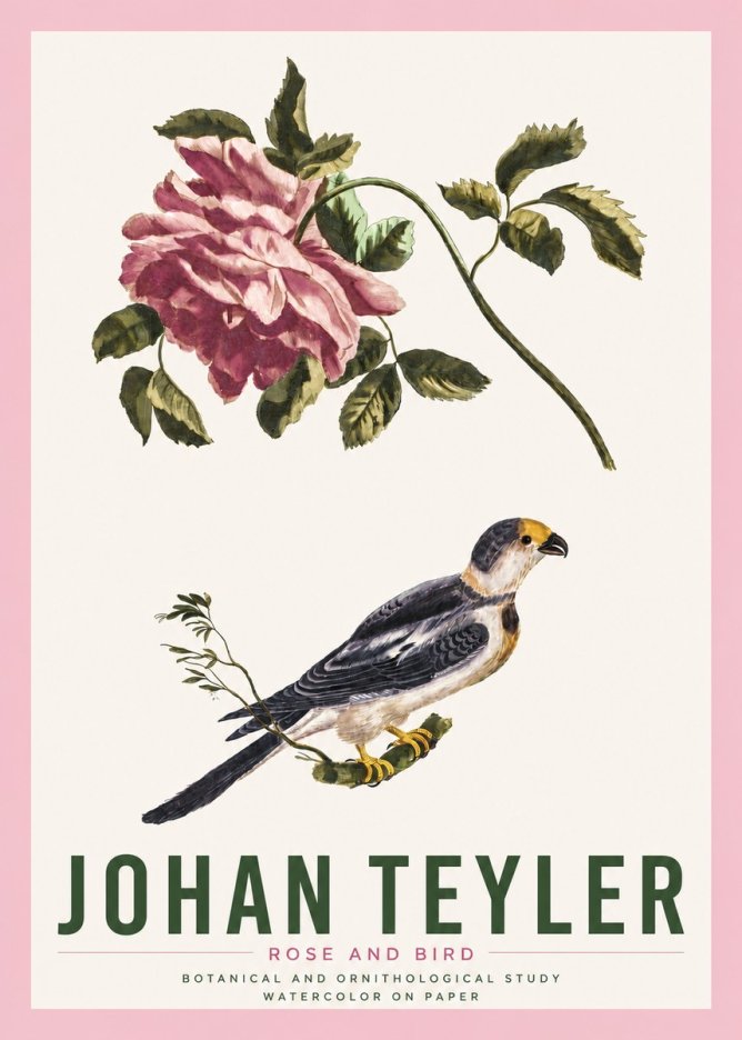 Johan Teyler Rose and Bird I No4 - Plakát
