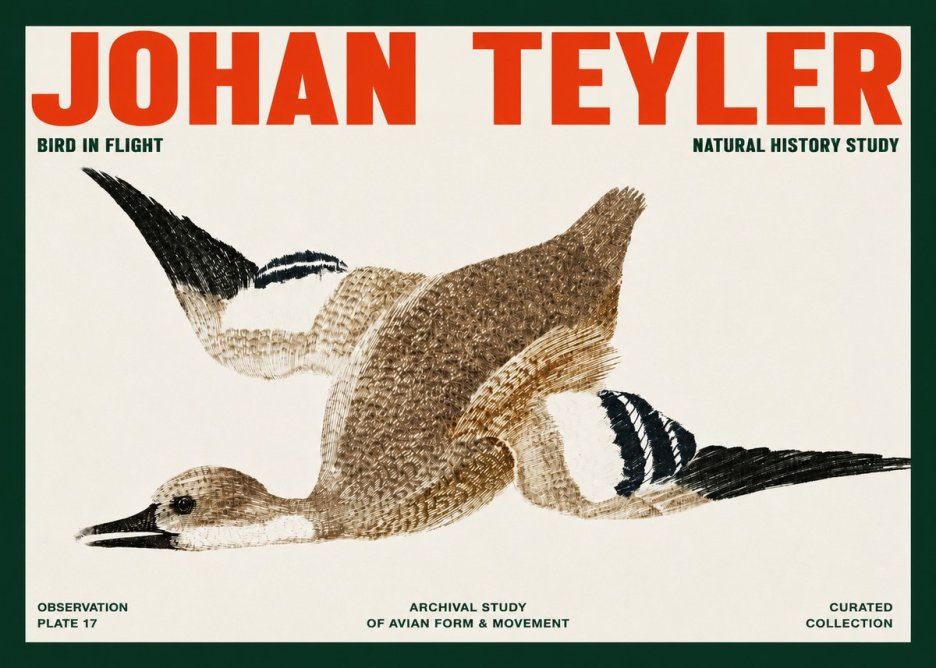 Johan Teyler Bird in Flight II No2 - Plakát