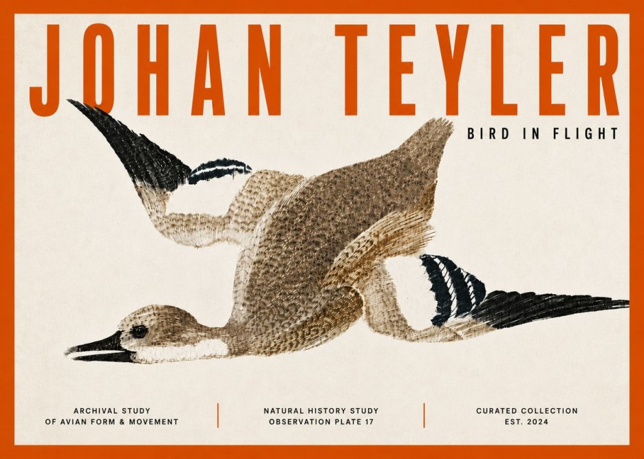 Johan Teyler Bird in Flight II No5 - Plakát