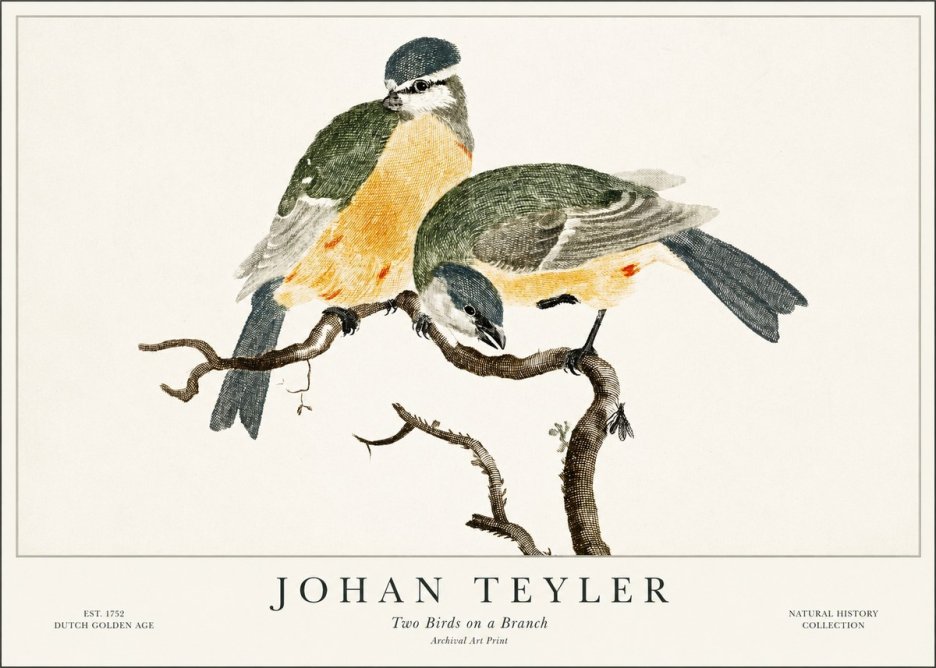 Johan Teyler Two Birds on a Branch No1 - Plakát