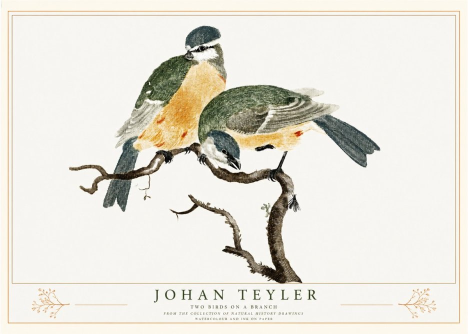 Johan Teyler Two Birds on a Branch No2 - Plakát