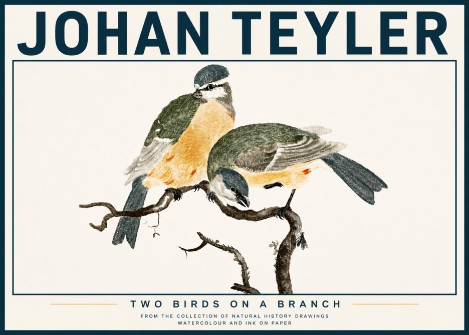 Johan Teyler Two Birds on a Branch No4 - Plakát