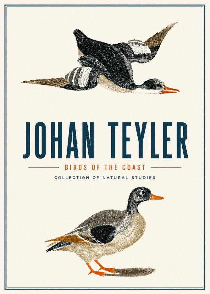 Johan Teyler Birds of the Coast No4 - Plakát