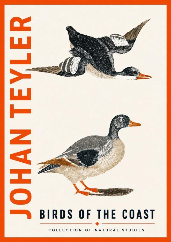 Johan Teyler Birds of the Coast No5 - Plakát