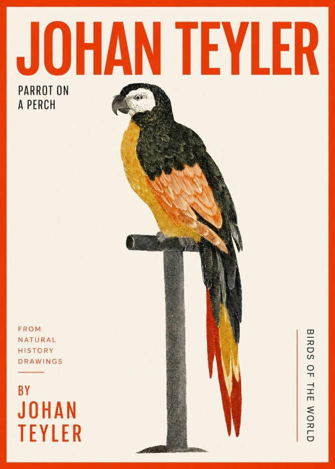 Johan Teyler Parrot on a Perch No2 - Plakát