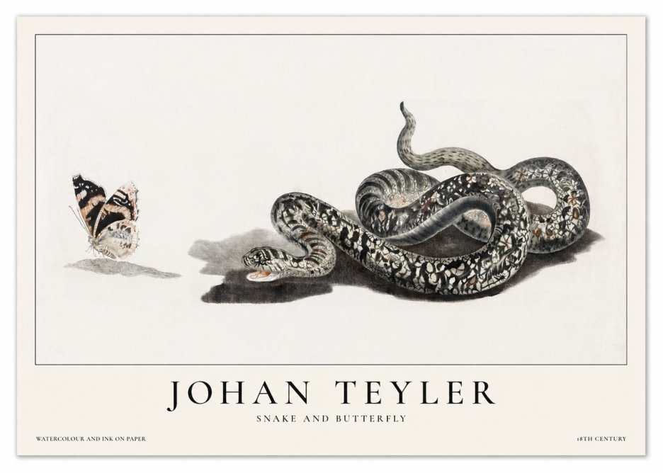 Johan Teyler Snake and Butterfly No1 - Plakát
