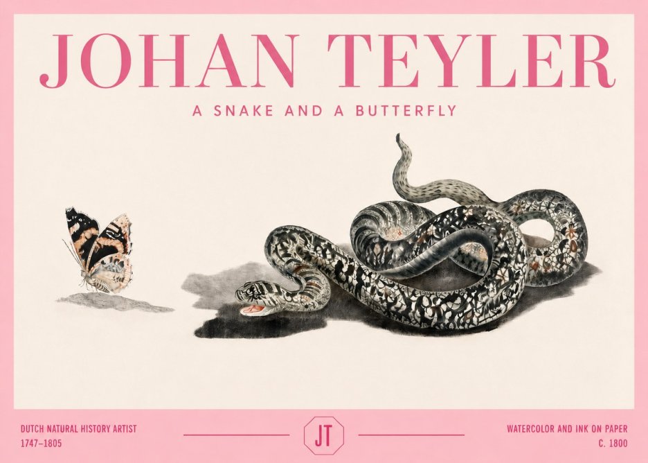Johan Teyler Snake and Butterfly No4 - Plakát