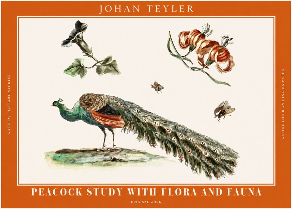 Johan Teyler Peacock Study with Flora and Fauna No2 - Plakát