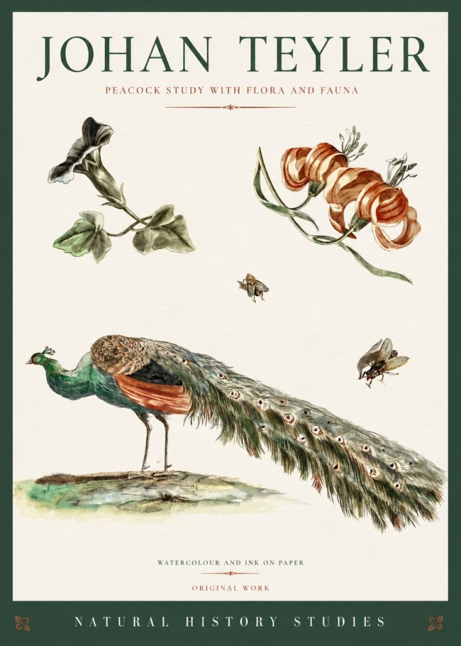 Johan Teyler Peacock Study with Flora and Fauna No3 - Plakát