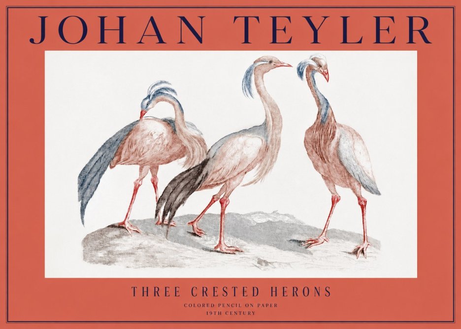 Johan Teyler Three Crested Herons No2 - Plakát