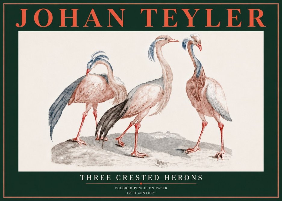 Johan Teyler Three Crested Herons No5 - Plakát