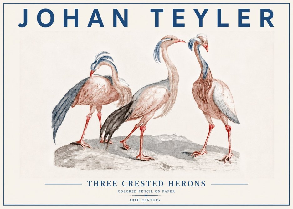 Johan Teyler Three Crested Herons No6 - Plakát