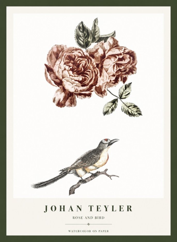 Johan Teyler Rose and Bird II No1 - Plakát