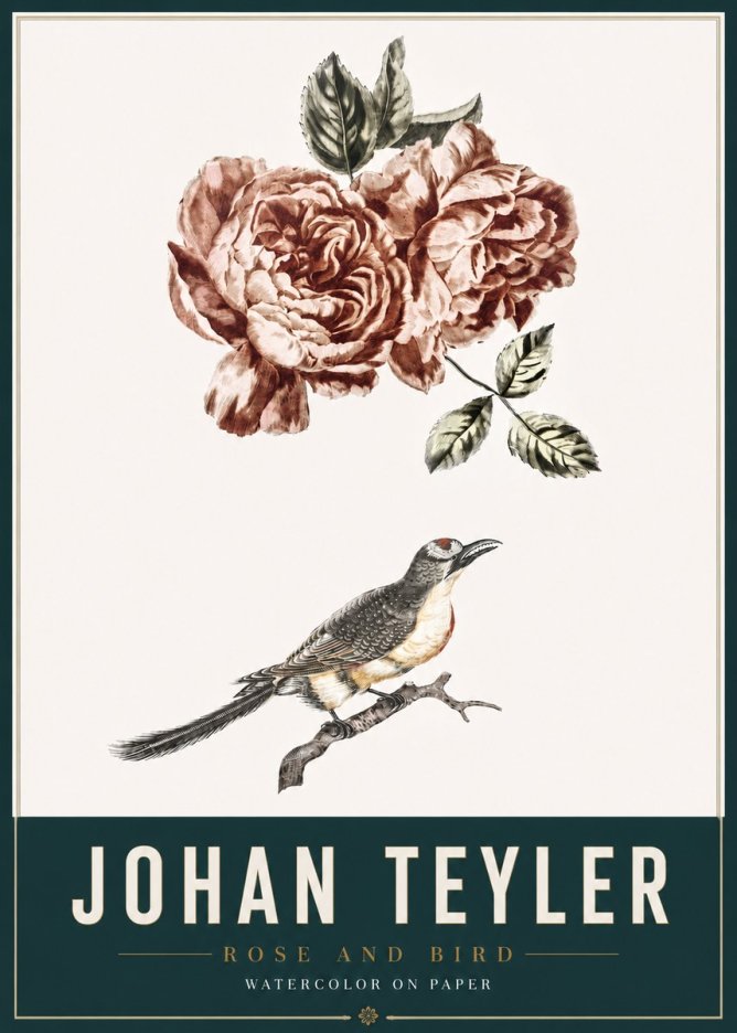 Johan Teyler Rose and Bird II No3 - Plakát