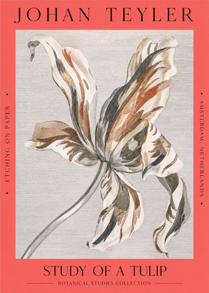 Johan Teyler Study of a Tulip No2 - Plakát