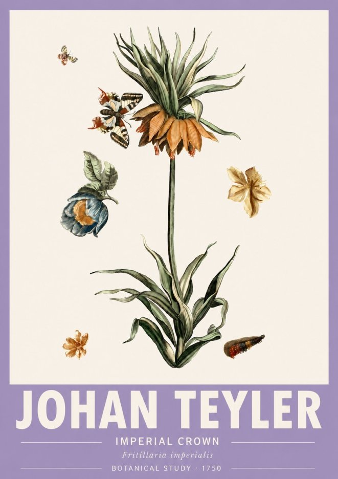 Johan Teyler Crown Imperial No6 - Plakát