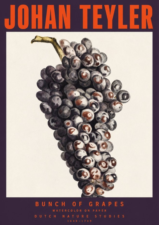 Johan Teyler Bunch of Grapes No2 - Plakát