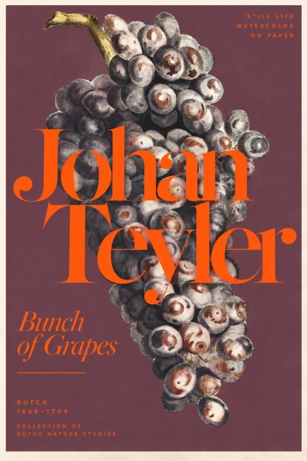 Johan Teyler Bunch of Grapes No3 - Plakát
