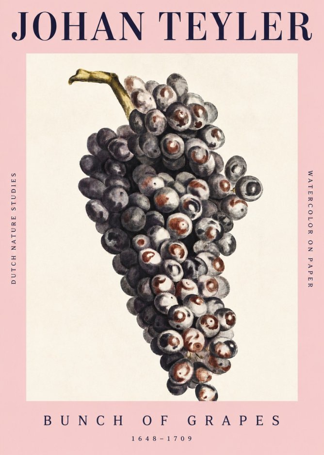 Johan Teyler Bunch of Grapes No4 - Plakát