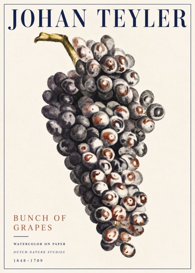 Johan Teyler Bunch of Grapes No5 - Plakát