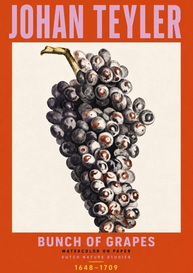 Johan Teyler Bunch of Grapes No6 - Plakát