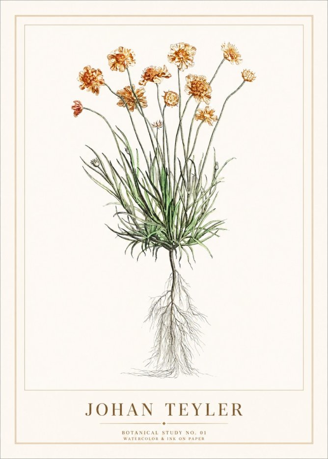 Johan Teyler Botanical Study No. 01 No1 - Plakát