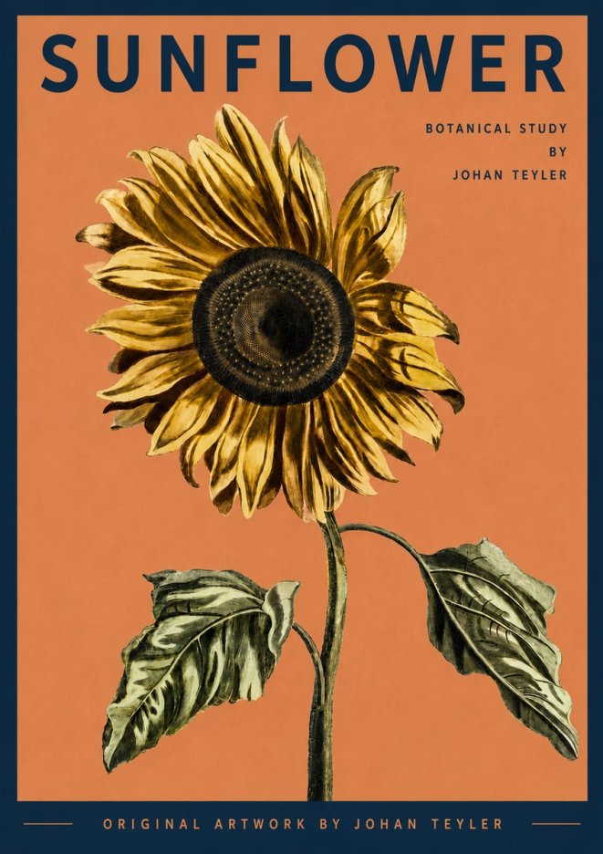 Johan Teyler Sunflower - Botanical Study No3 - Plakát