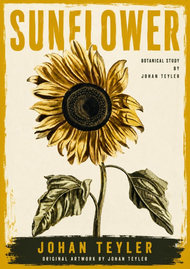 Johan Teyler Sunflower - Botanical Study No6 - Plakát