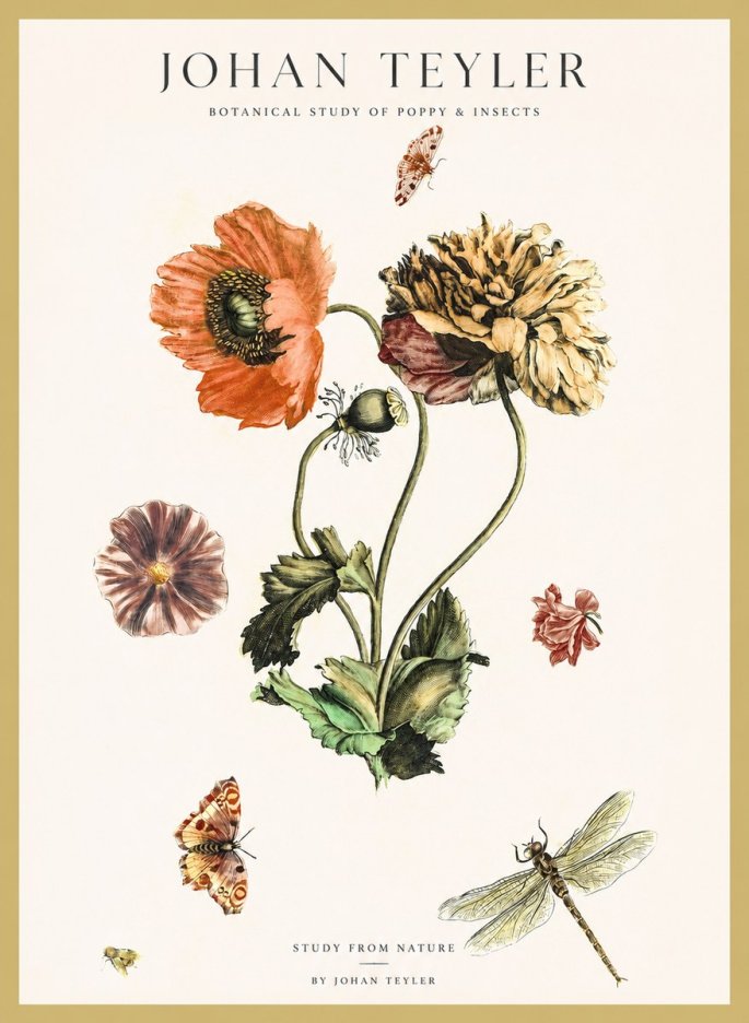 Johan Teyler Botanical Study of Poppy & Insects No1 - Plakát