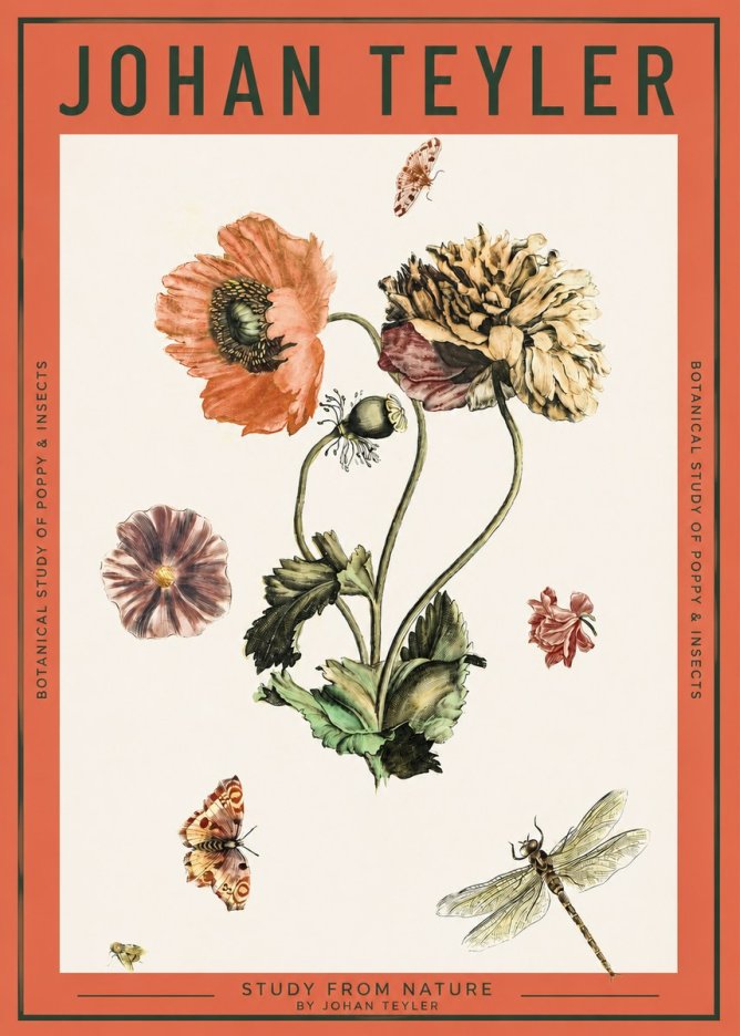 Johan Teyler Botanical Study of Poppy & Insects No2 - Plakát