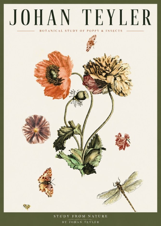 Johan Teyler Botanical Study of Poppy & Insects No3 - Plakát